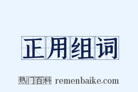 正用组词是什么意思的图片